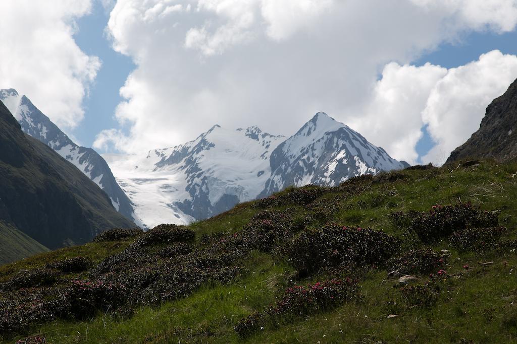 Ferienwohnung Scheiber Sölden Cameră foto